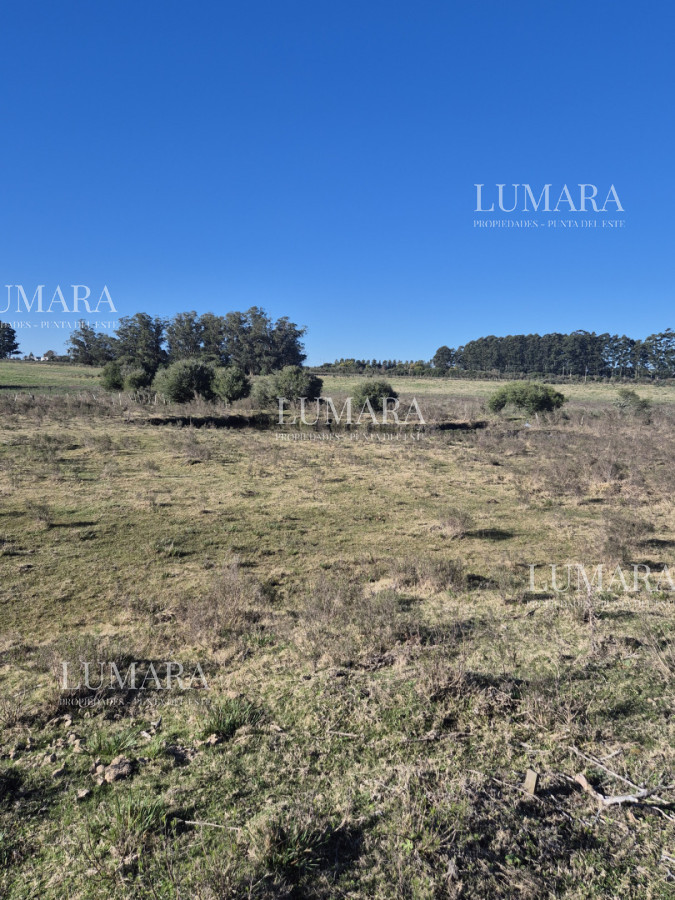 Campo Ref.3340 - Campo en San Carlos, 