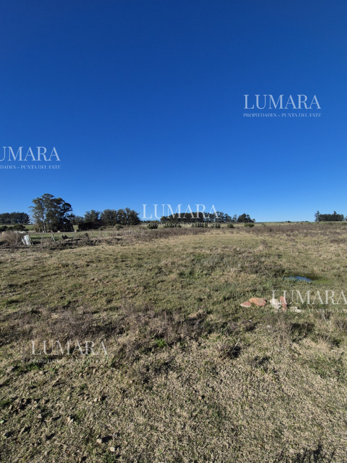 Campo Ref.3340 - Campo en San Carlos, 