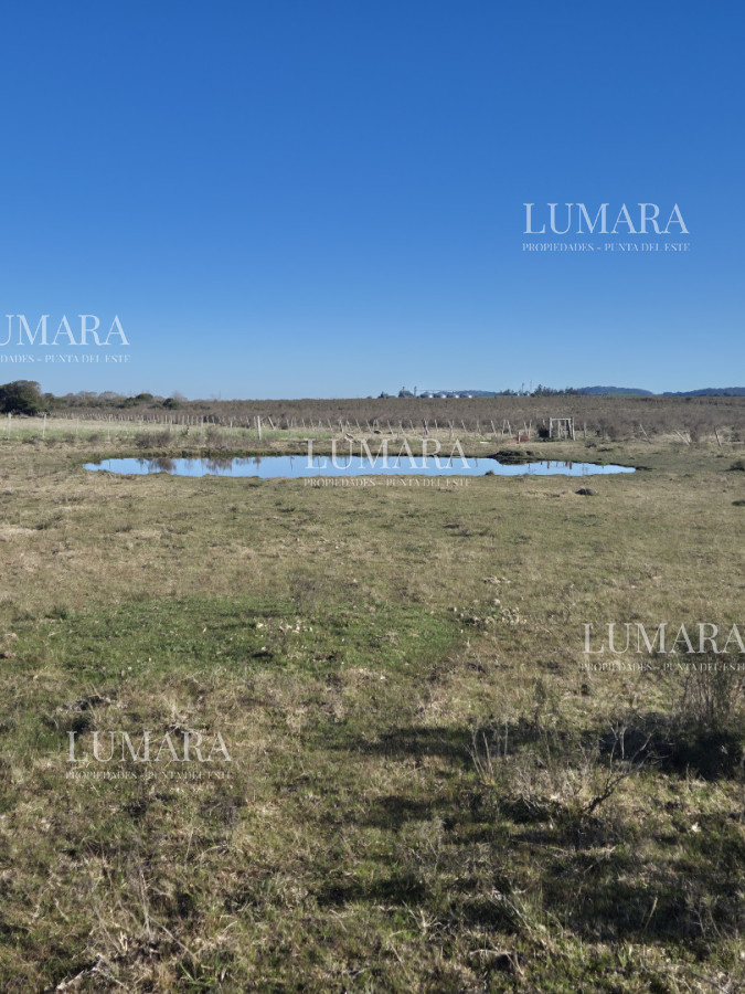 Campo Ref.3340 - Campo en San Carlos, 