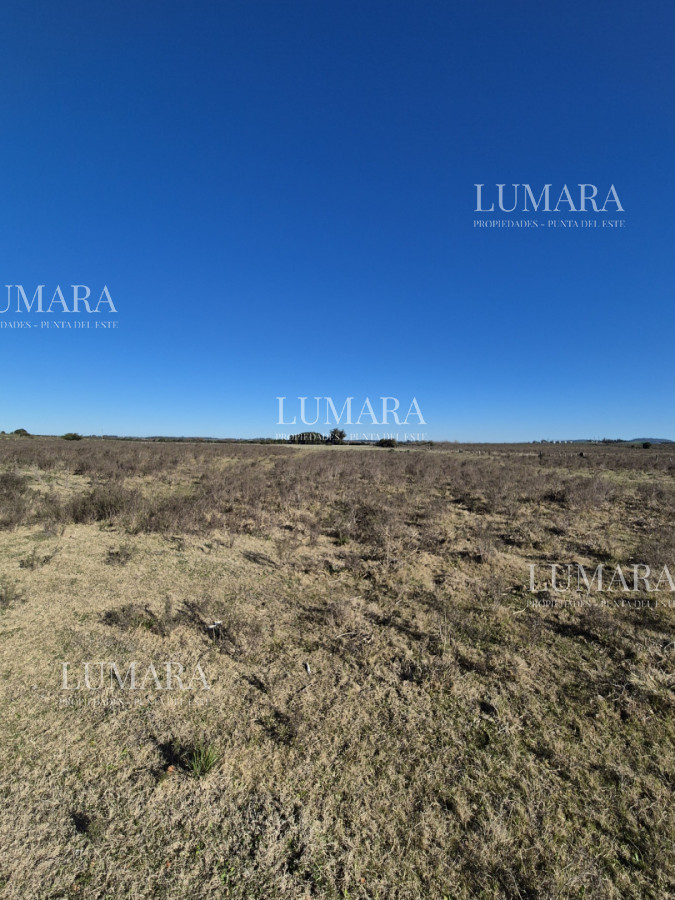 Campo Ref.3340 - Campo en San Carlos, 