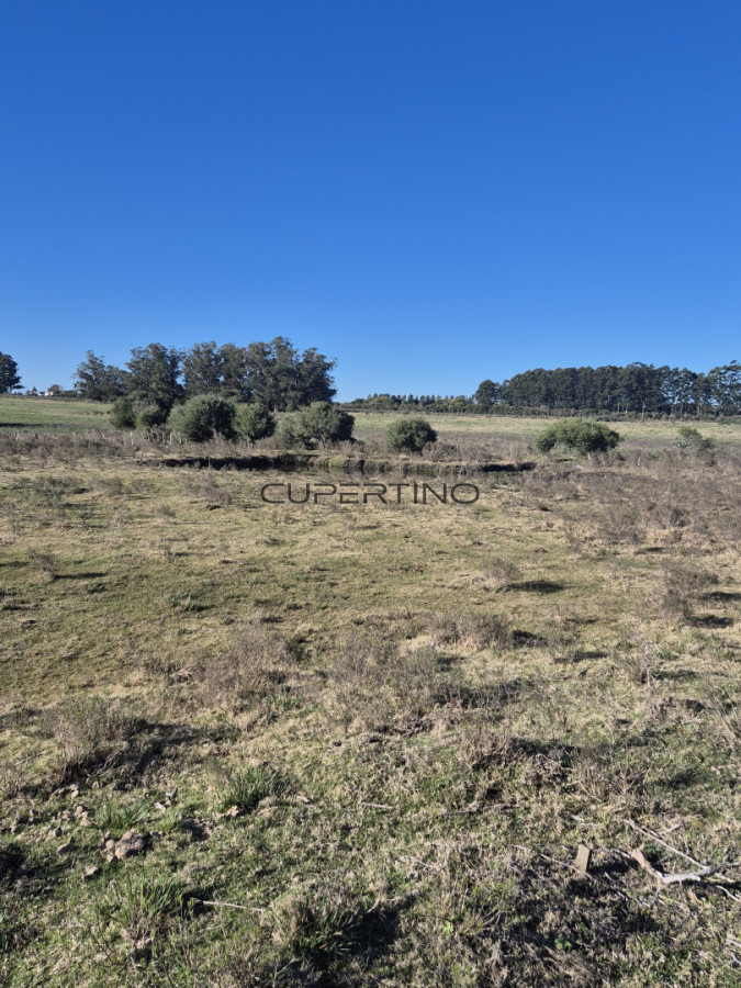 Campo en San Carlos, — foto 4