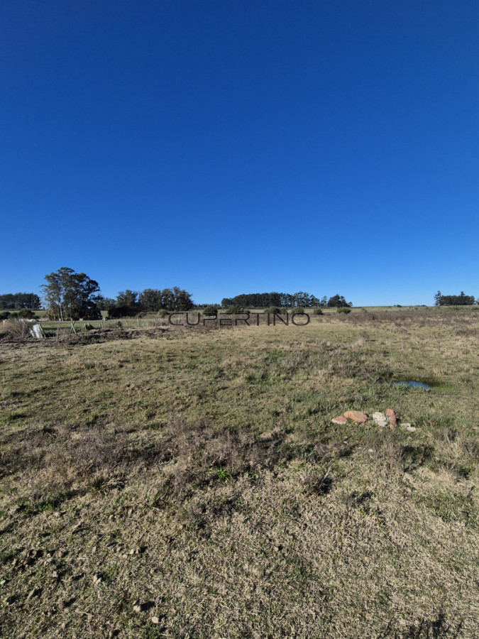 Campo en San Carlos, — foto 1