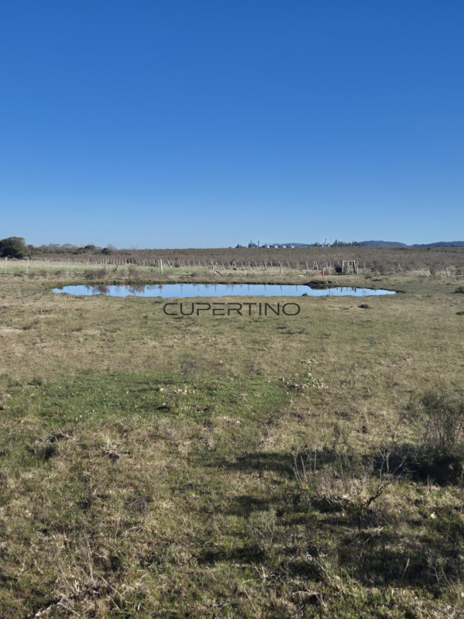 Campo en San Carlos, — foto 3