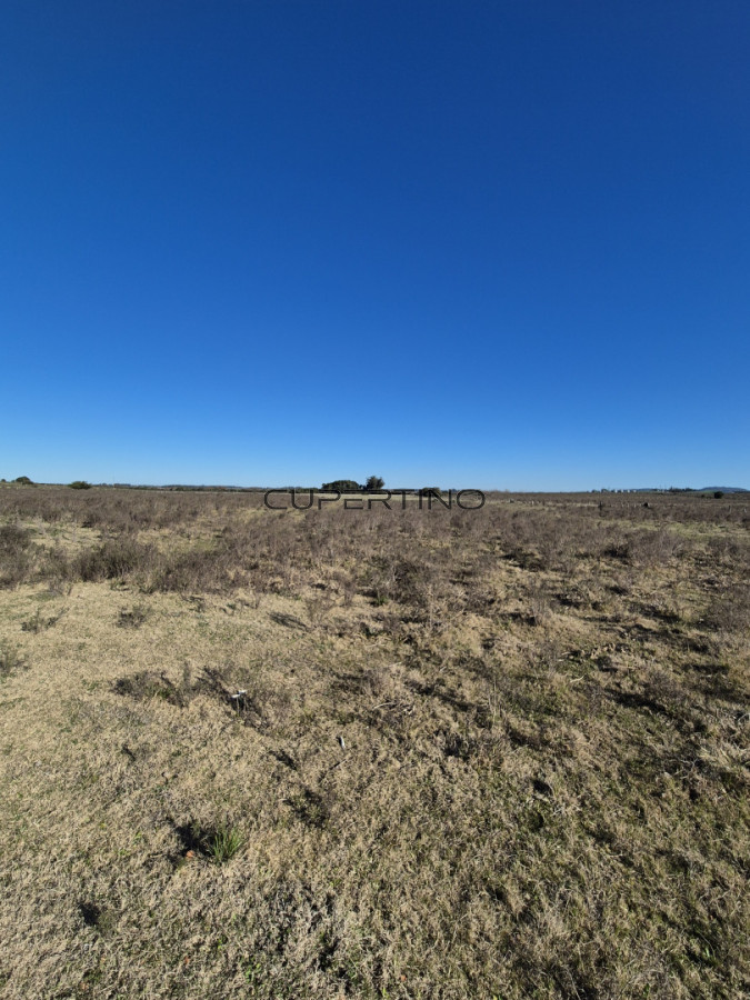 Campo en San Carlos, — foto 2