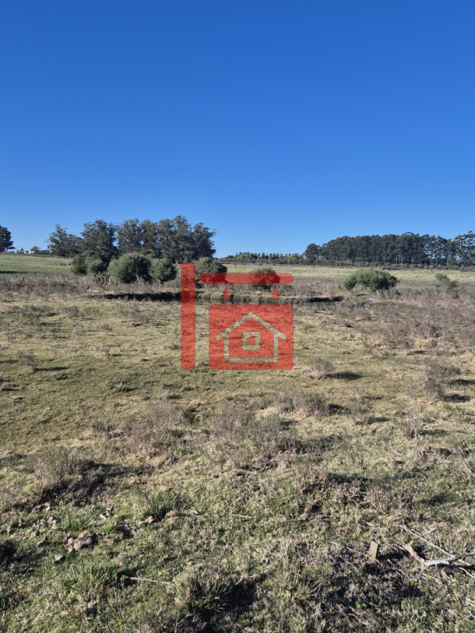 Campo Ref.657 - Campo en  San Carlos 