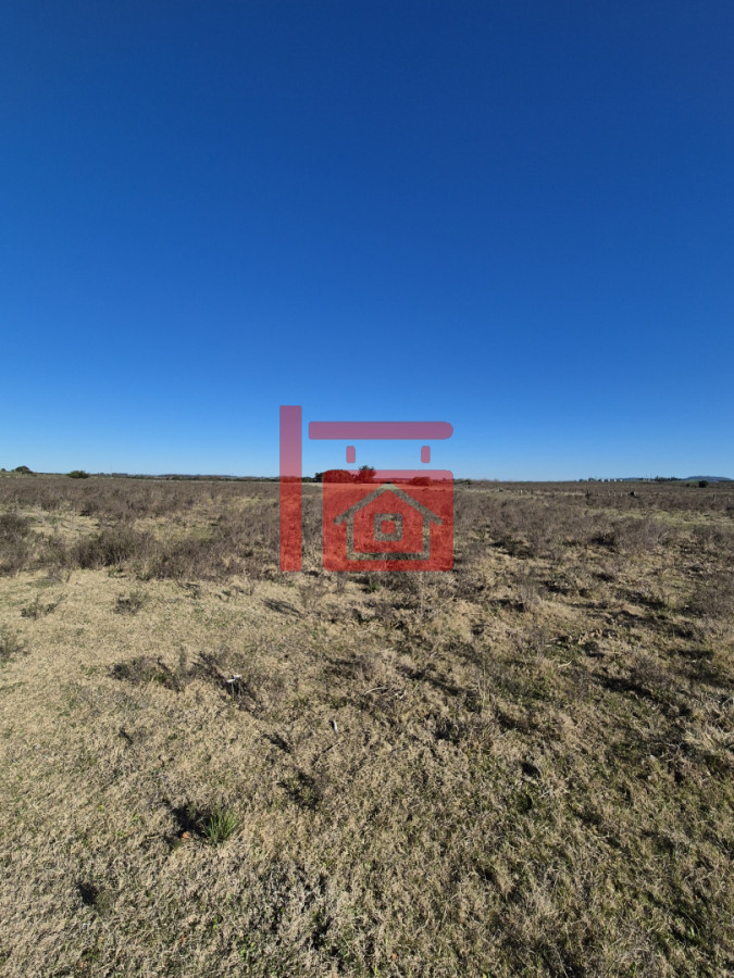 Campo Ref.657 - Campo en  San Carlos 