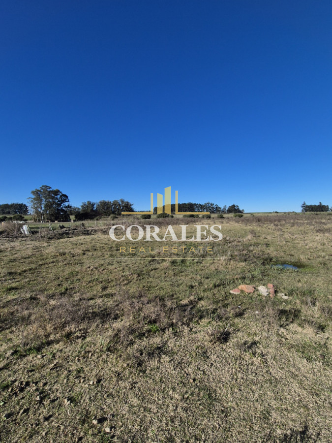 Campo en San Carlos,