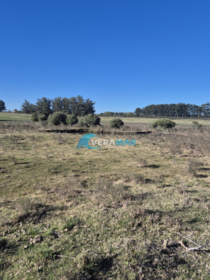 Campo Ref.15 - Campo en San Carlos, 
