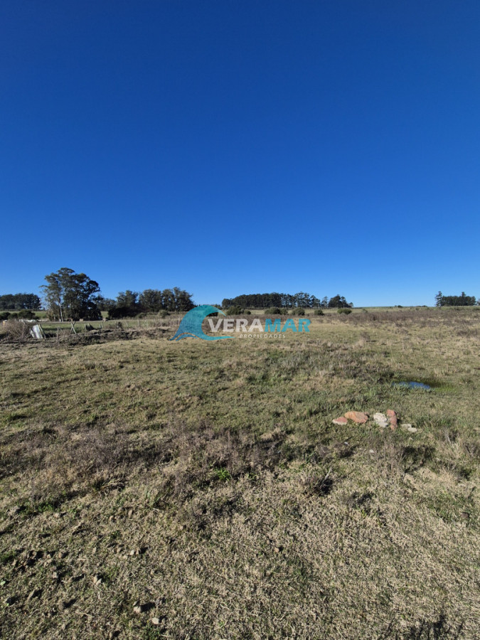 Campo Ref.15 - Campo en San Carlos, 