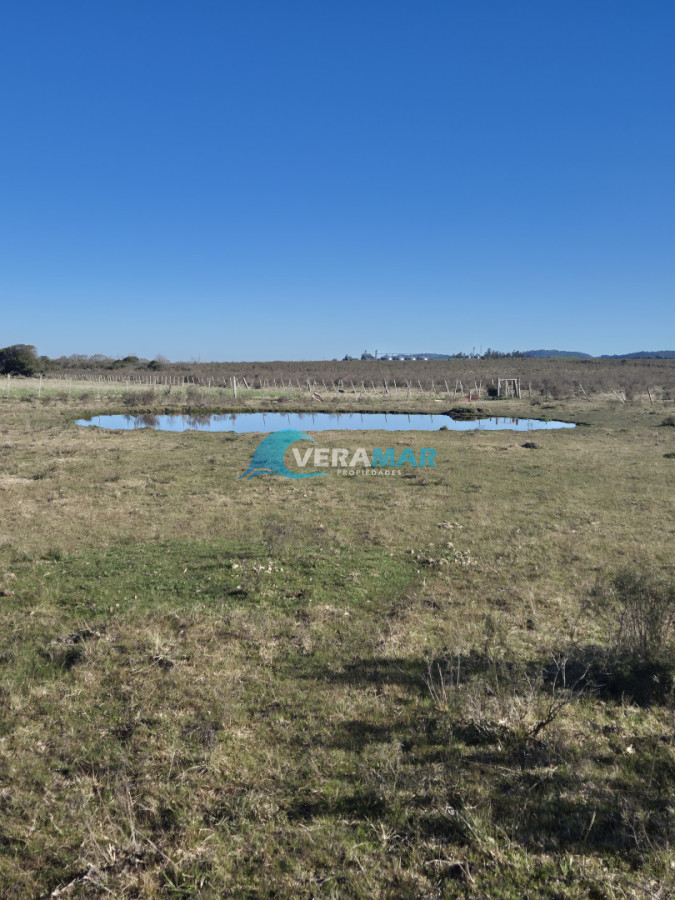Campo Ref.15 - Campo en San Carlos, 