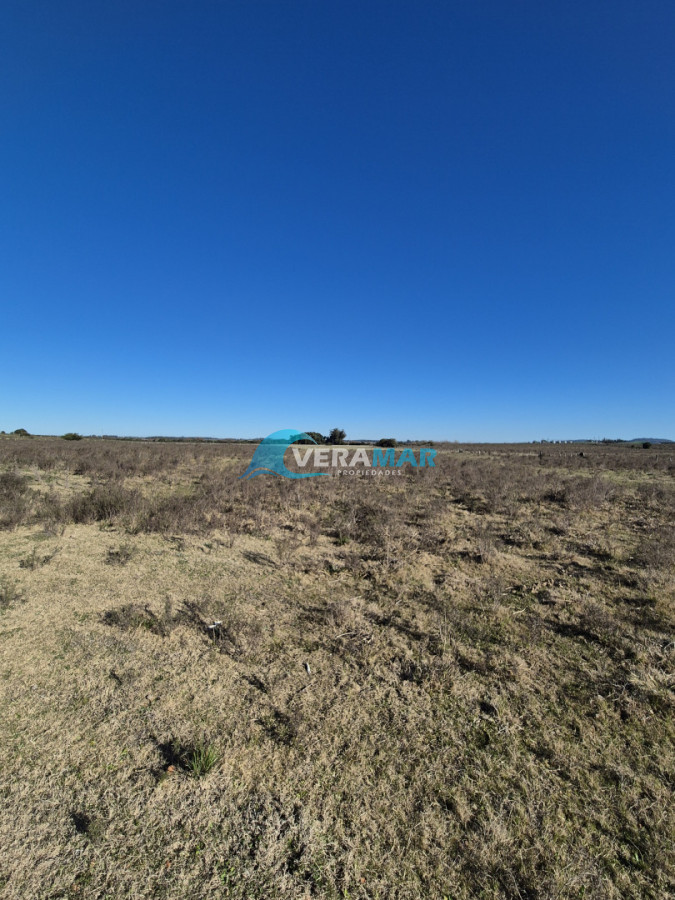 Campo Ref.15 - Campo en San Carlos, 