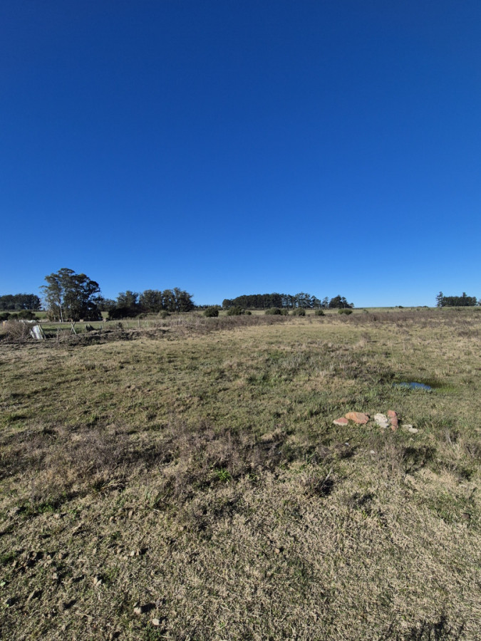 Campo en 