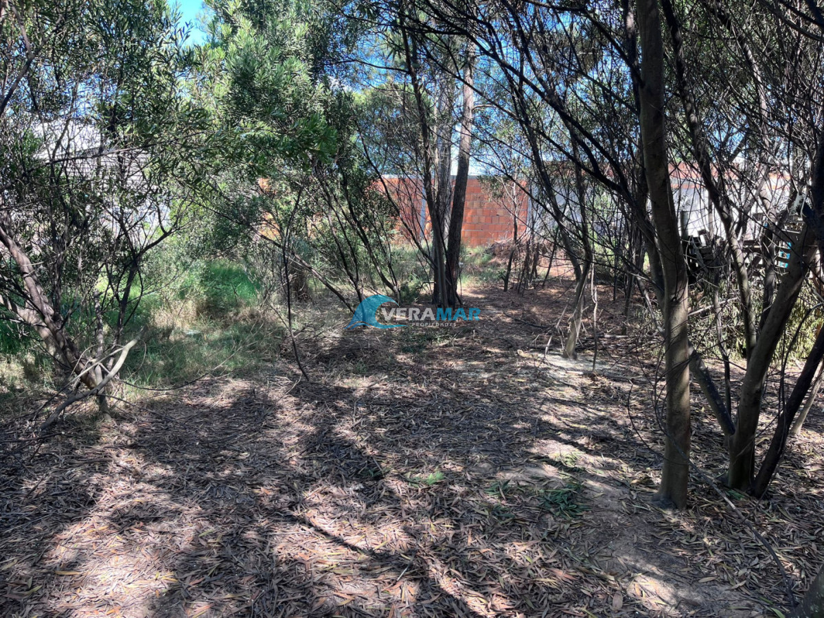 Terreno ID.39 - Terreno en Maldonado, 4 H