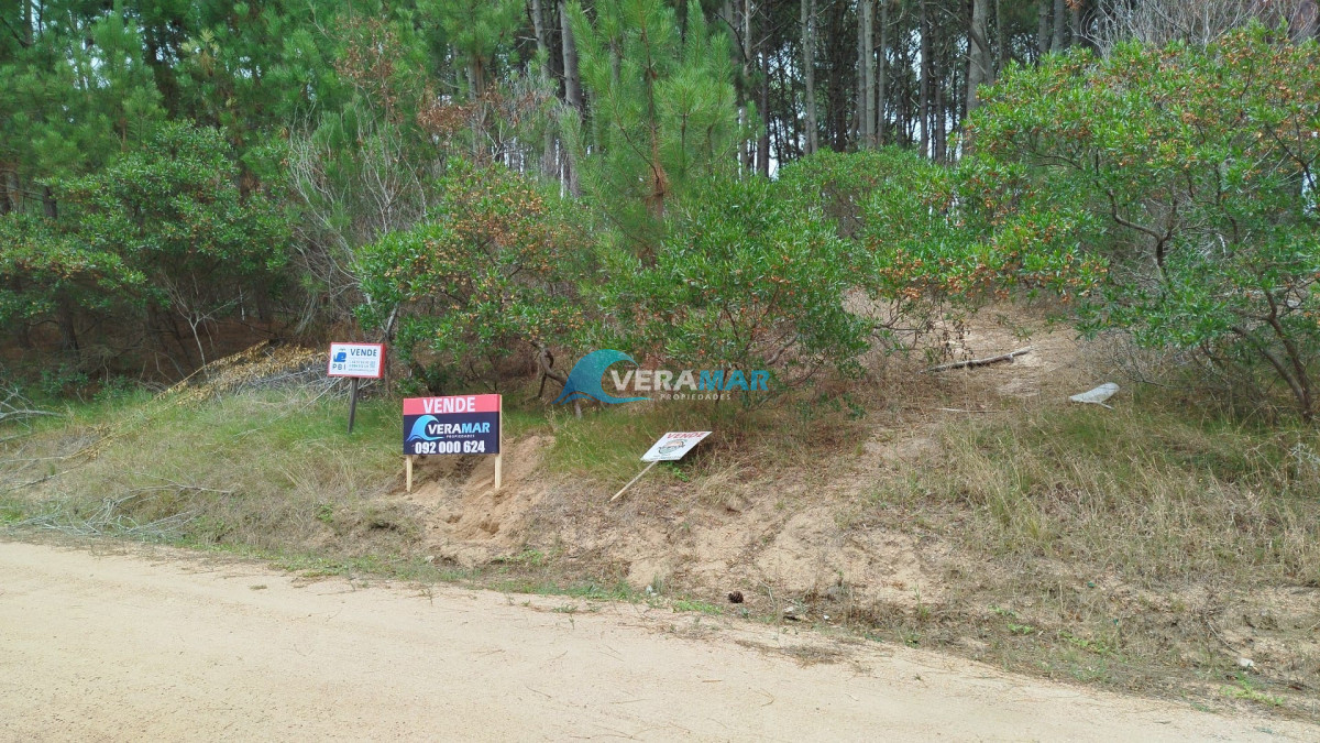 Apartamento ID.29 - Terreno en Punta Ballena, Chihuahua