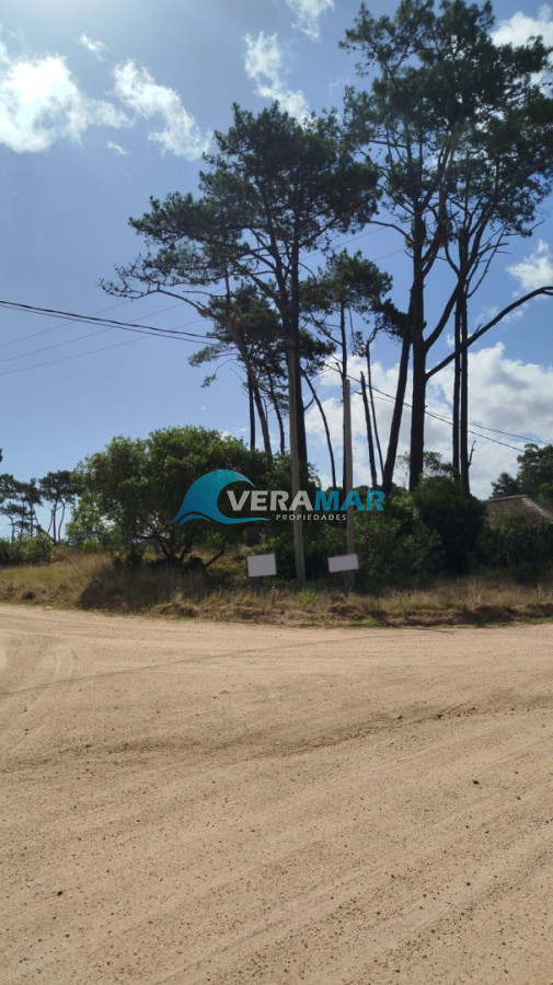 Terreno ID.32 - Terreno en Punta Ballena, Chihuahua