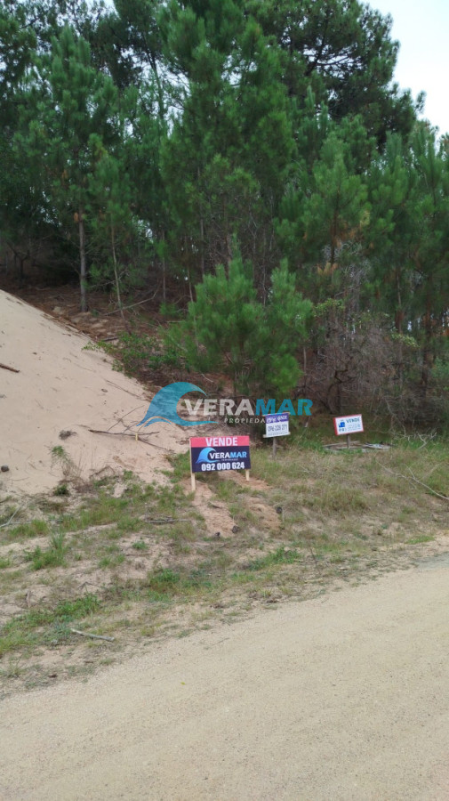 Apartamento ID.28 - Terreno en Punta Ballena, Chihuahua