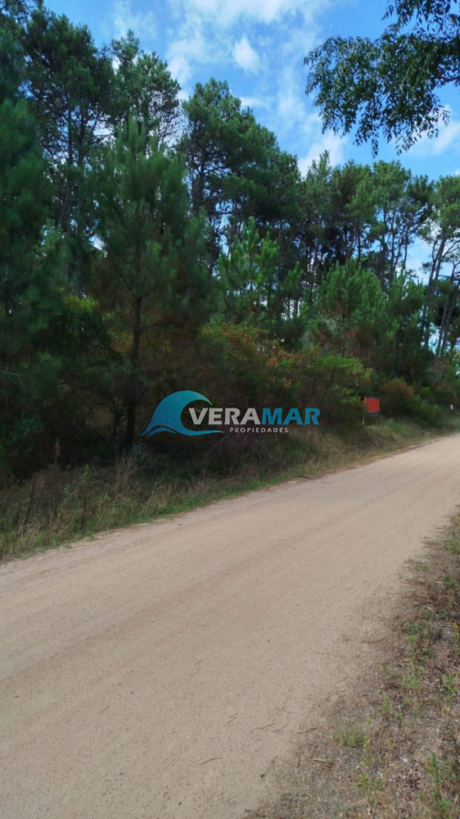 Apartamento ID.29 - Terreno en Punta Ballena, Chihuahua