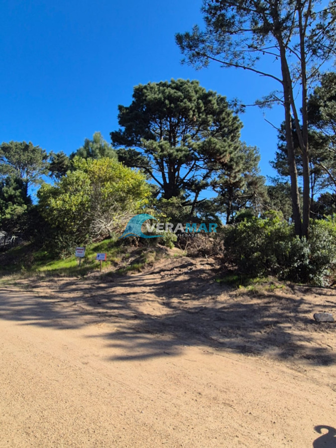 Terreno ID.26 - Terreno en Punta Ballena, Chihuahua