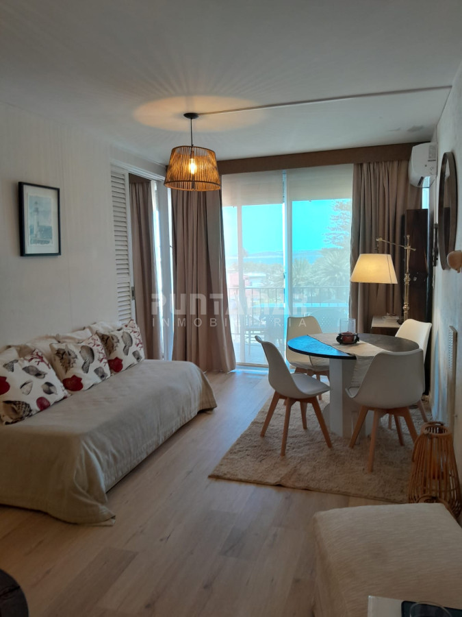 Apartamento ID.213207 - DEPARTAMENTO DE 1 DORMITORIO EN LA PENINSULA
