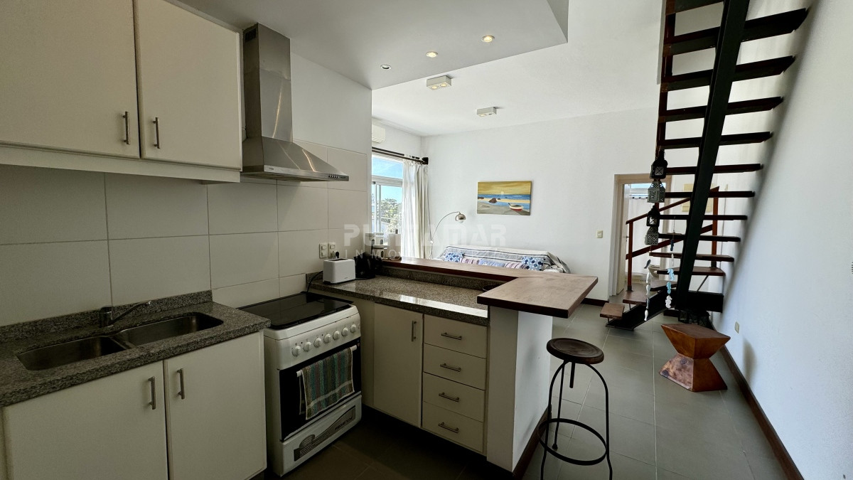 Apartamento ID.210180 - LUMINOSO APARTAMENTO DE 1 DORMITORIO Y AZOTEA PROPIA EN MANANTIALES 