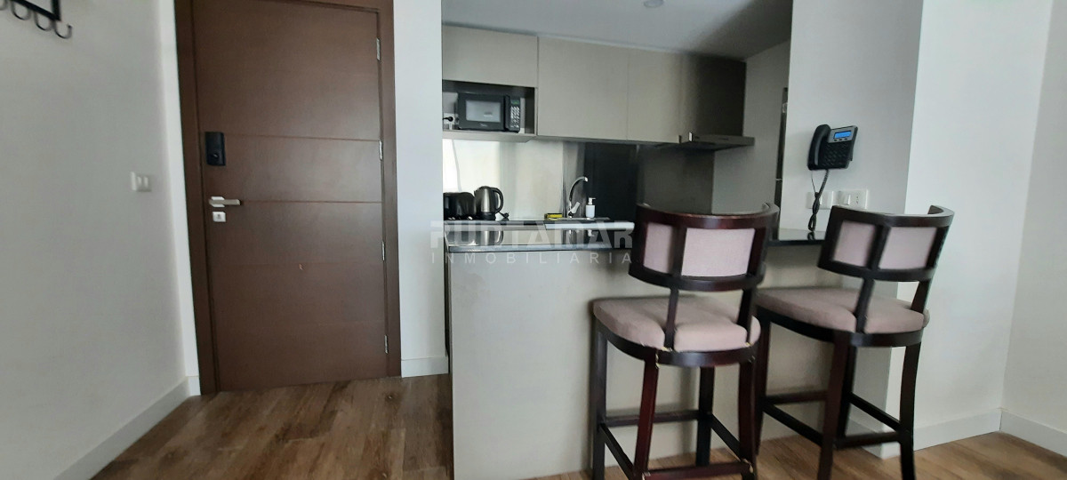 Apartamento ID.213569 - DEPARTAMENTO DE 1 DORMITORIO EN LA PENINSULA