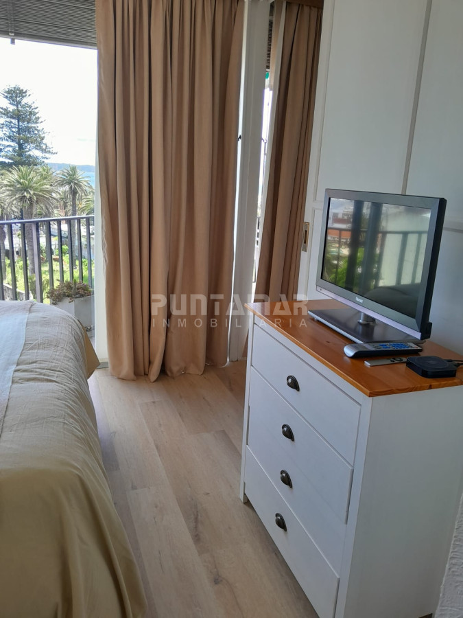 Apartamento ID.213207 - DEPARTAMENTO DE 1 DORMITORIO EN LA PENINSULA