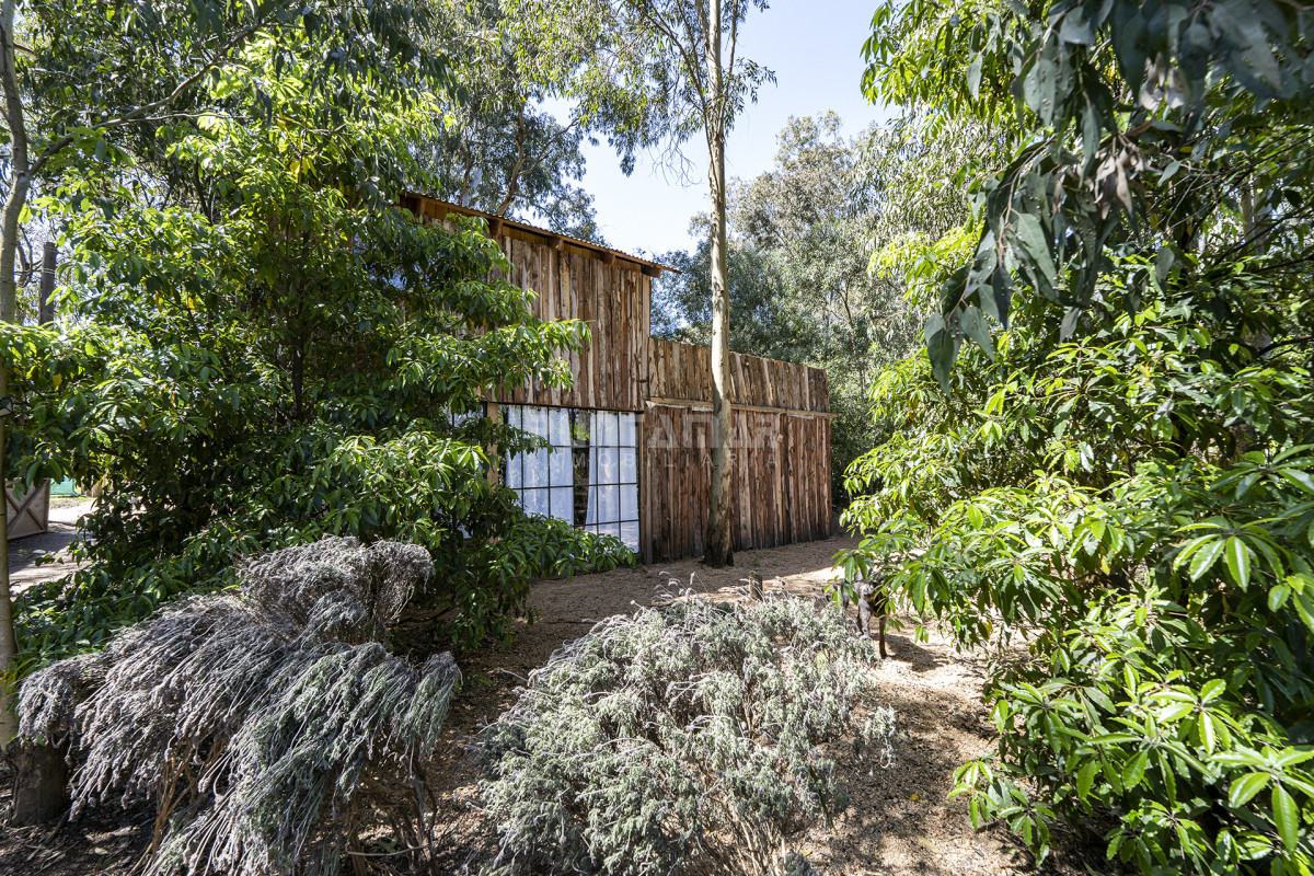 Casa ID.213670 - HERMOSA CABAÑA EN EL BOSQUE A METROS DEL PUENTE DE LA BARRA 