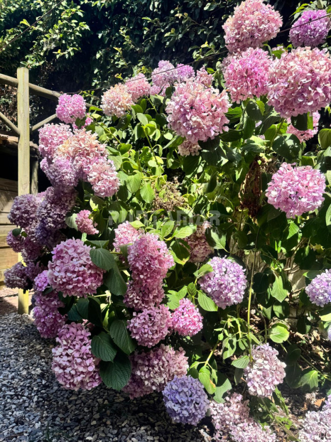 Casa ID.211143 - CASA EN MONTOYA  - VENTA Y ALQUILER TEMPORAL