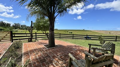 venta chacra de 5 hectareas entre jose ignacio y manantiales  - pmi213456h