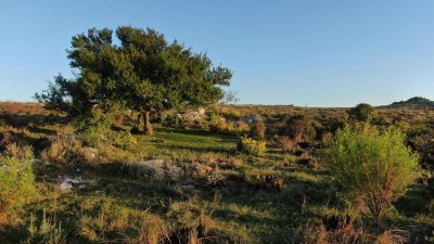 venta de chacra zona aigua - pmi213258h