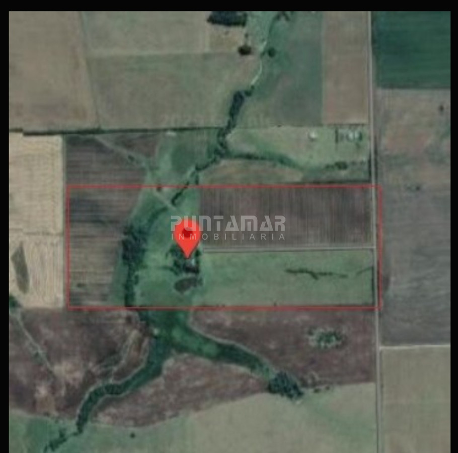 Chacra ID.213256 - IMPORTANTE CHACRA DE 35 HECTAREAS EN ARTILLEROS, COLONIA