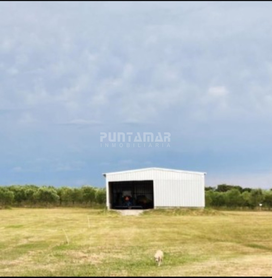 Chacra ID.213256 - IMPORTANTE CHACRA DE 35 HECTAREAS EN ARTILLEROS, COLONIA