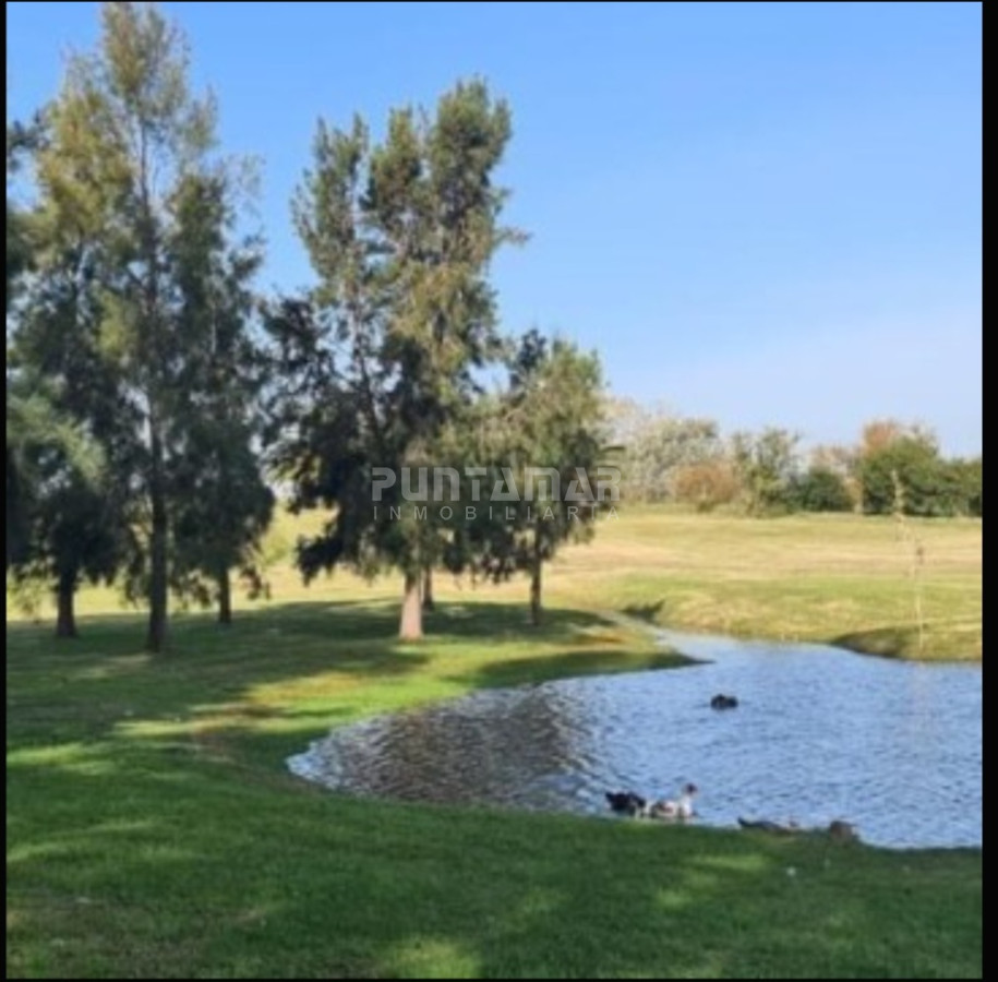 Chacra ID.213256 - IMPORTANTE CHACRA DE 35 HECTAREAS EN ARTILLEROS, COLONIA