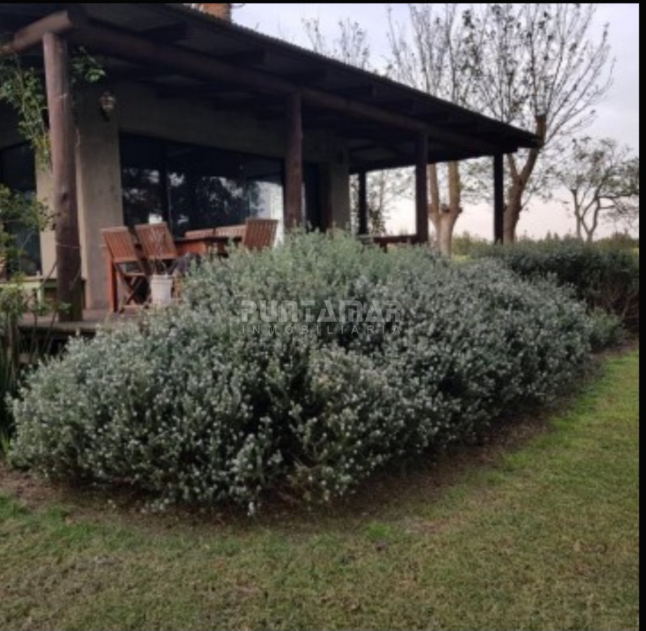 Chacra ID.213256 - IMPORTANTE CHACRA DE 35 HECTAREAS EN ARTILLEROS, COLONIA