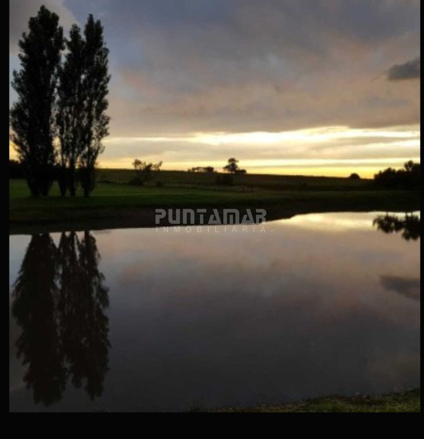 Chacra ID.213256 - IMPORTANTE CHACRA DE 35 HECTAREAS EN ARTILLEROS, COLONIA