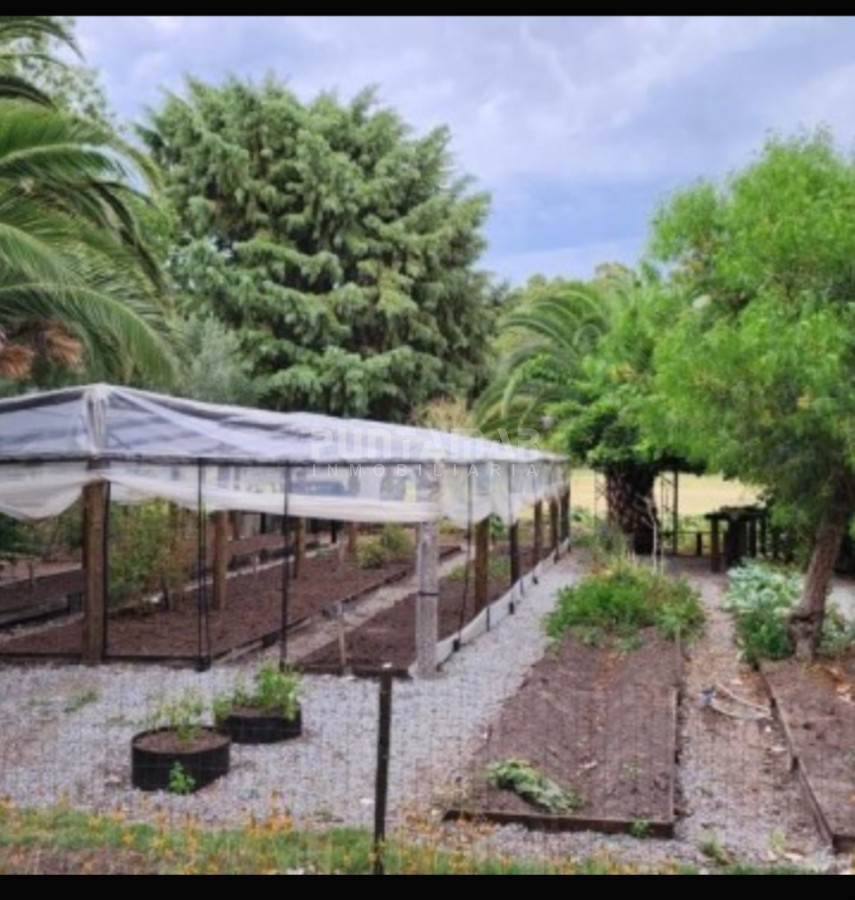 Chacra ID.213256 - IMPORTANTE CHACRA DE 35 HECTAREAS EN ARTILLEROS, COLONIA