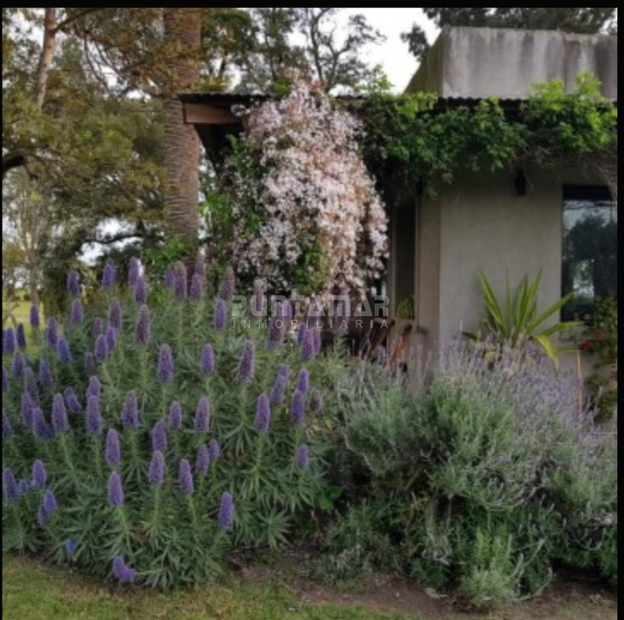 Chacra ID.213256 - IMPORTANTE CHACRA DE 35 HECTAREAS EN ARTILLEROS, COLONIA