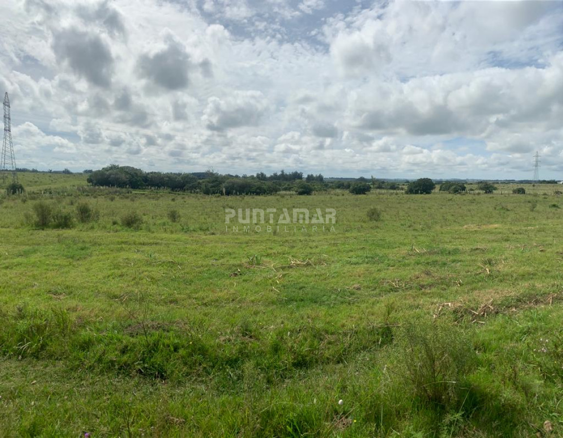 CHACRAS DE 5 HECTÁREAS DESDE U$S 160.000 CADA UNA - PMI212616H