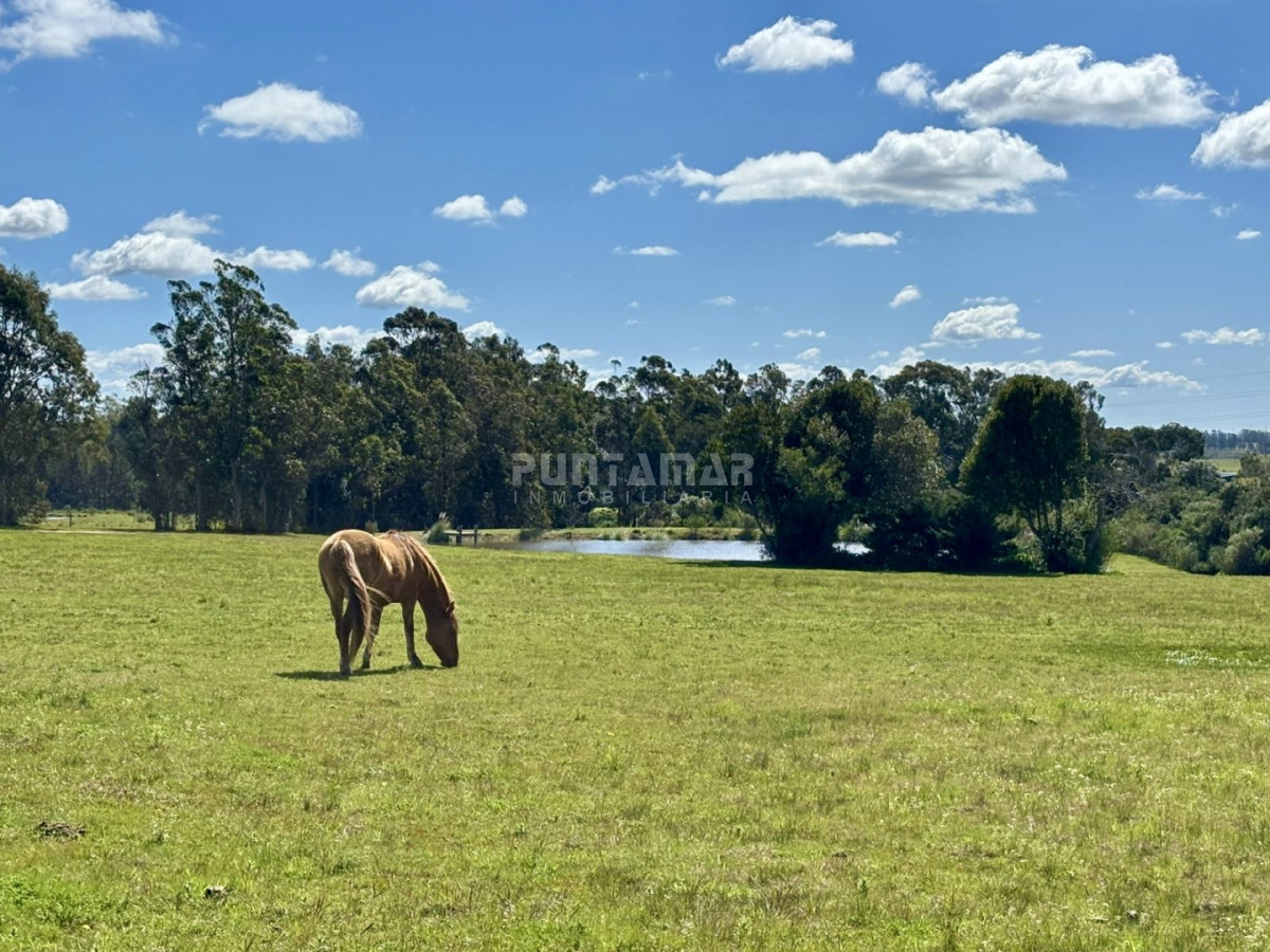 Chacra ID.213437 - Chacra en venta Ruta 104