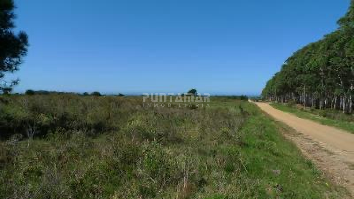 Chacra ID.213153 - VENTA DE CHACRA EN LA PALOMA   5 HAS.