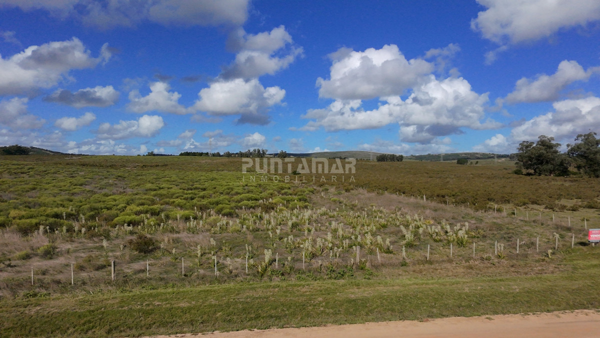 Chacra ID.213839 - CHACRA EN ZONA LAGUNA DEL SAUCE 