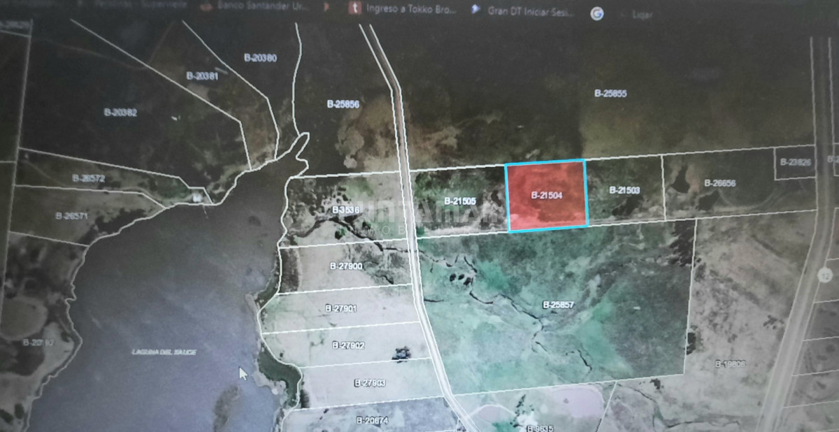 Chacra ID.213839 - CHACRA EN ZONA LAGUNA DEL SAUCE 