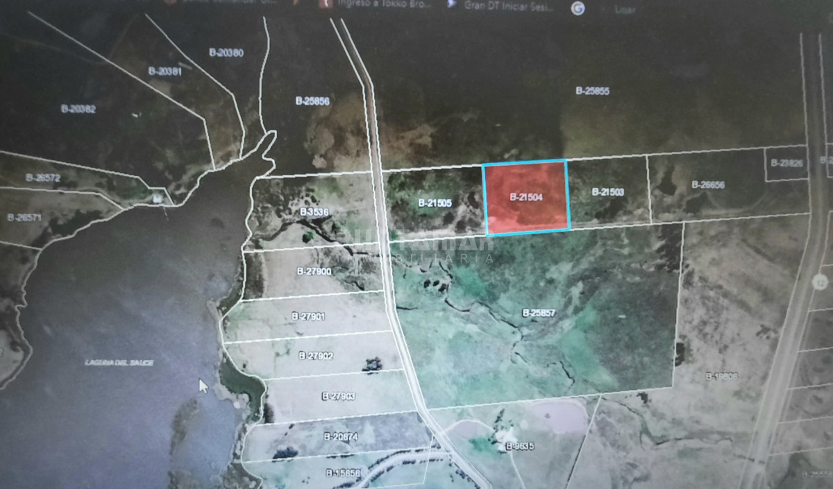 Chacra ID.213839 - CHACRA EN ZONA LAGUNA DEL SAUCE 