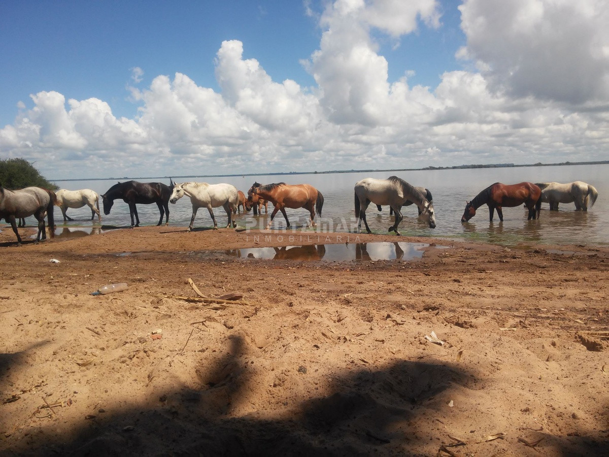 Chacra ID.211476 - VENTA DE EXCEPCIONAL CAMPO SOBRE RÍO URUGUAY