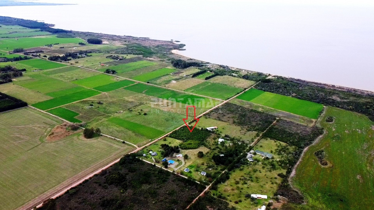 Chacra ID.213057 - Chacra de 1 hectárea en zona de Matamora, Colonia, a metros del mar