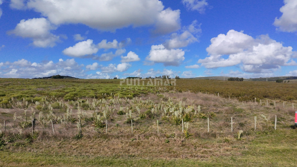 Chacra ID.213839 - CHACRA EN ZONA LAGUNA DEL SAUCE 