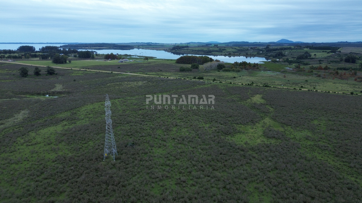 Chacra ID.213837 - OPORTUNIDAD DE INVERSIÓN, VENTA DE  CHACRA EN ZONA DE LAGUNA DEL SAUCE 5 HAS.