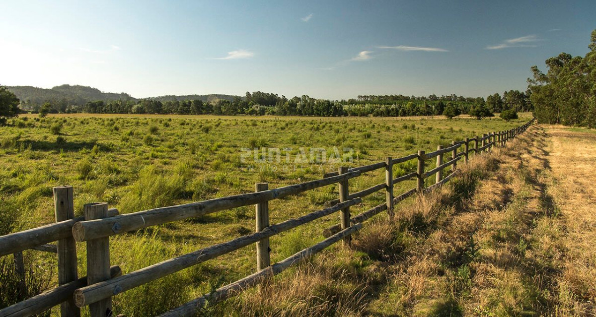Chacra ID.211522 - VENTA DE CHACRA ZONA LA PATAIA
