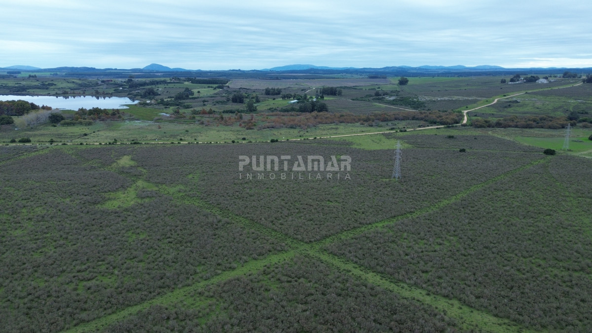 Chacra ID.213837 - OPORTUNIDAD DE INVERSIÓN, VENTA DE  CHACRA EN ZONA DE LAGUNA DEL SAUCE 5 HAS.