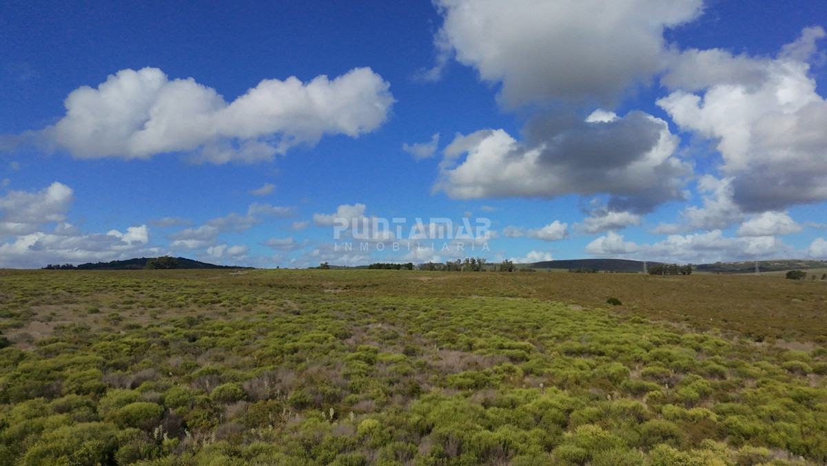 Chacra ID.213839 - CHACRA EN ZONA LAGUNA DEL SAUCE 